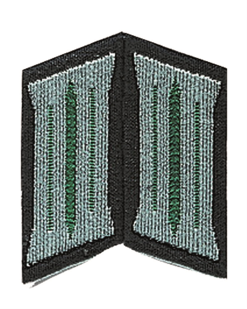 Patte de col de soldat des forces terrestres est-allemandes, stock ancien