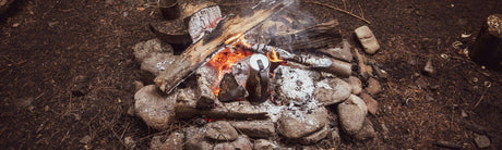 Quelles sont les meilleures rations de survie ?