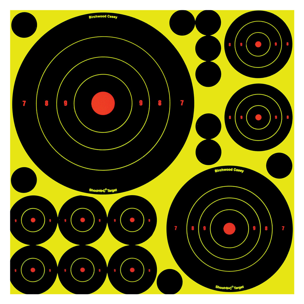 Birchwood Casey Lot de 5 cibles avec 10 bull's eye 200 g