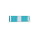 Barrette dixmude Outre Mer