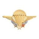 Brevet parachutiste instructeur Boussemart insigne zamac à émail de synthèse poli
