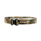 Ceinturon de combat Cobra Operator 2.0 Frog Pro boucle AustriAlpin 18 kN et anneau 22 kN
