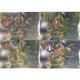 Cible ESP Overlay 5