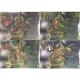 Cible ESP Overlay 5