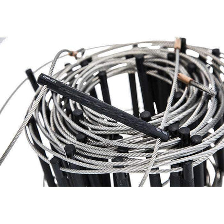 Echelle Olympia Triumph Compacte