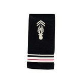 Fourreaux de grade Gendarmerie Départementale Patrol Equipement brodés 11 x 5 cm par paire