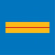 Galon de poitrine Police Municipale