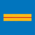 Galon de poitrine Police Municipale