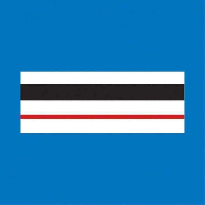 Galon de poitrine Police Municipale