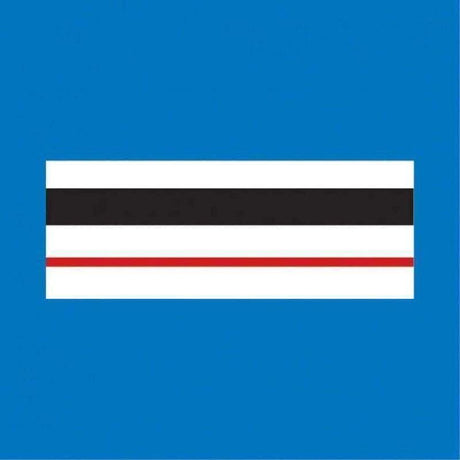 Galon de poitrine Police Municipale