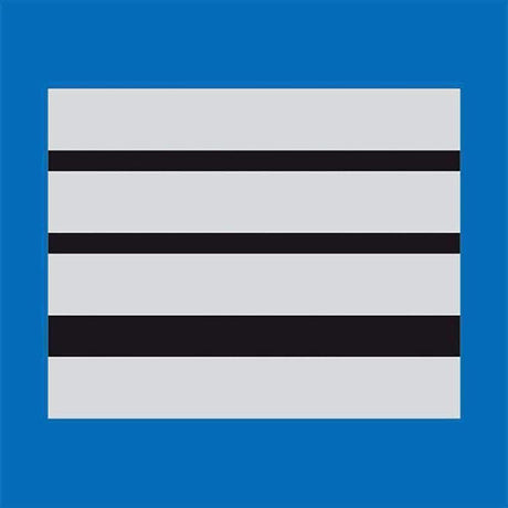 Galon de poitrine Police Municipale