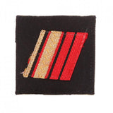 Grade de poitrine Ares Troupe de Marine
