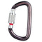 Mousqueton Petzl Am'D à verrouillage à vis, aluminium 27 kN, ouverture 25 mm