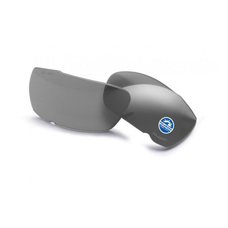 Verres de remplacement Cdi 1 paire ESS