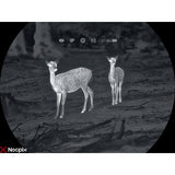Lunette thermique Nocpix MATE H38R capteur 384 × 288 px 60 Hz télémètre laser 1 200 m